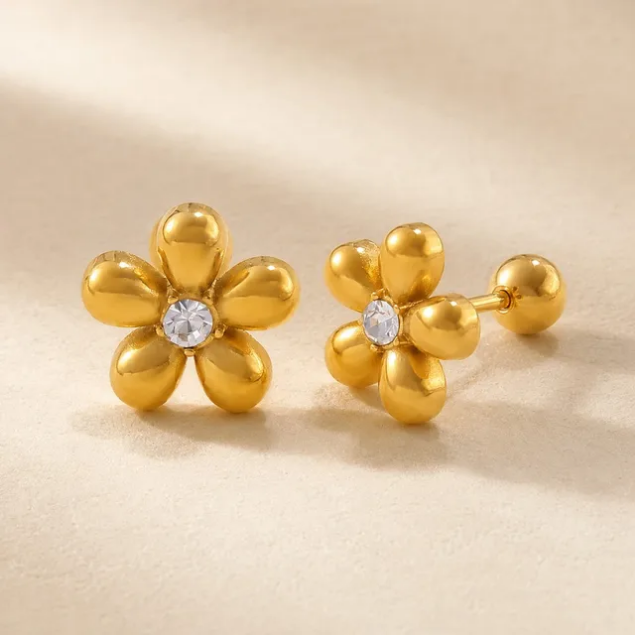 Aretes Inox 746