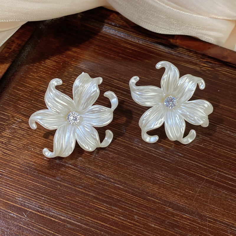 Aretes 673