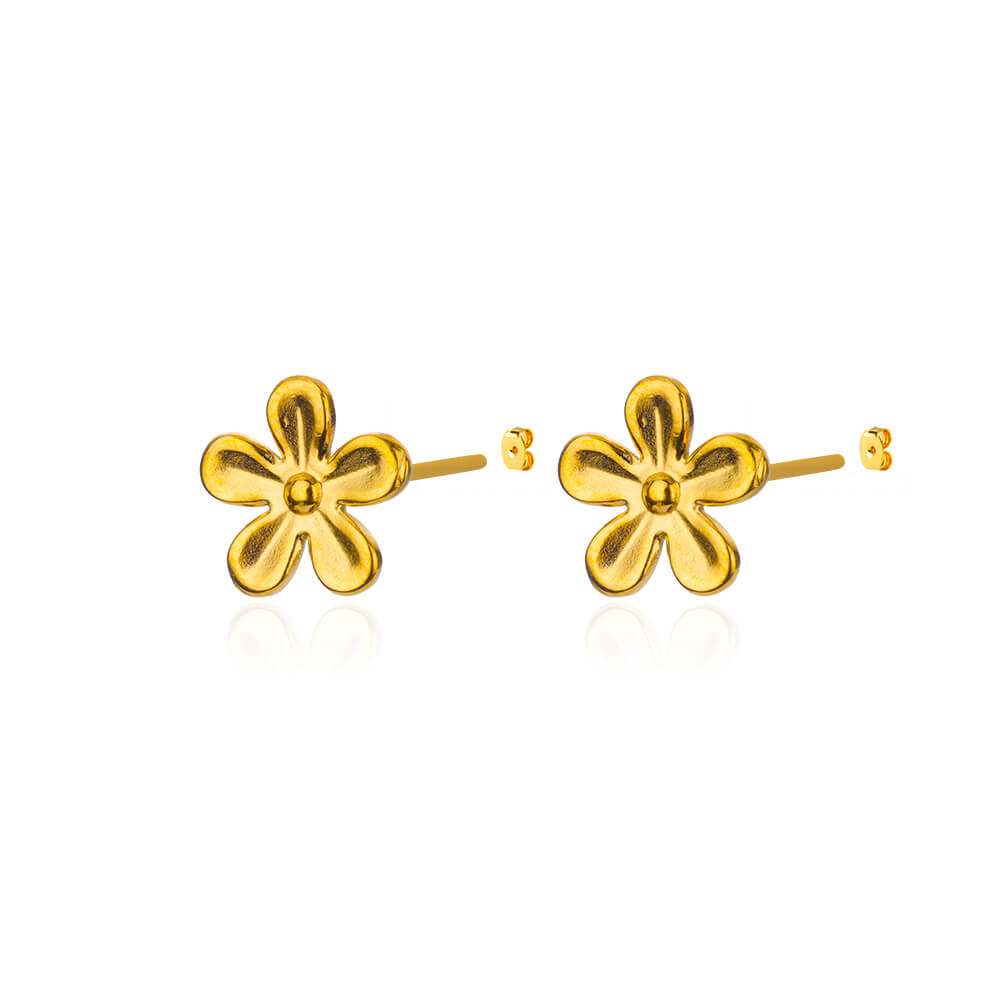 Aretes inox chapado 464