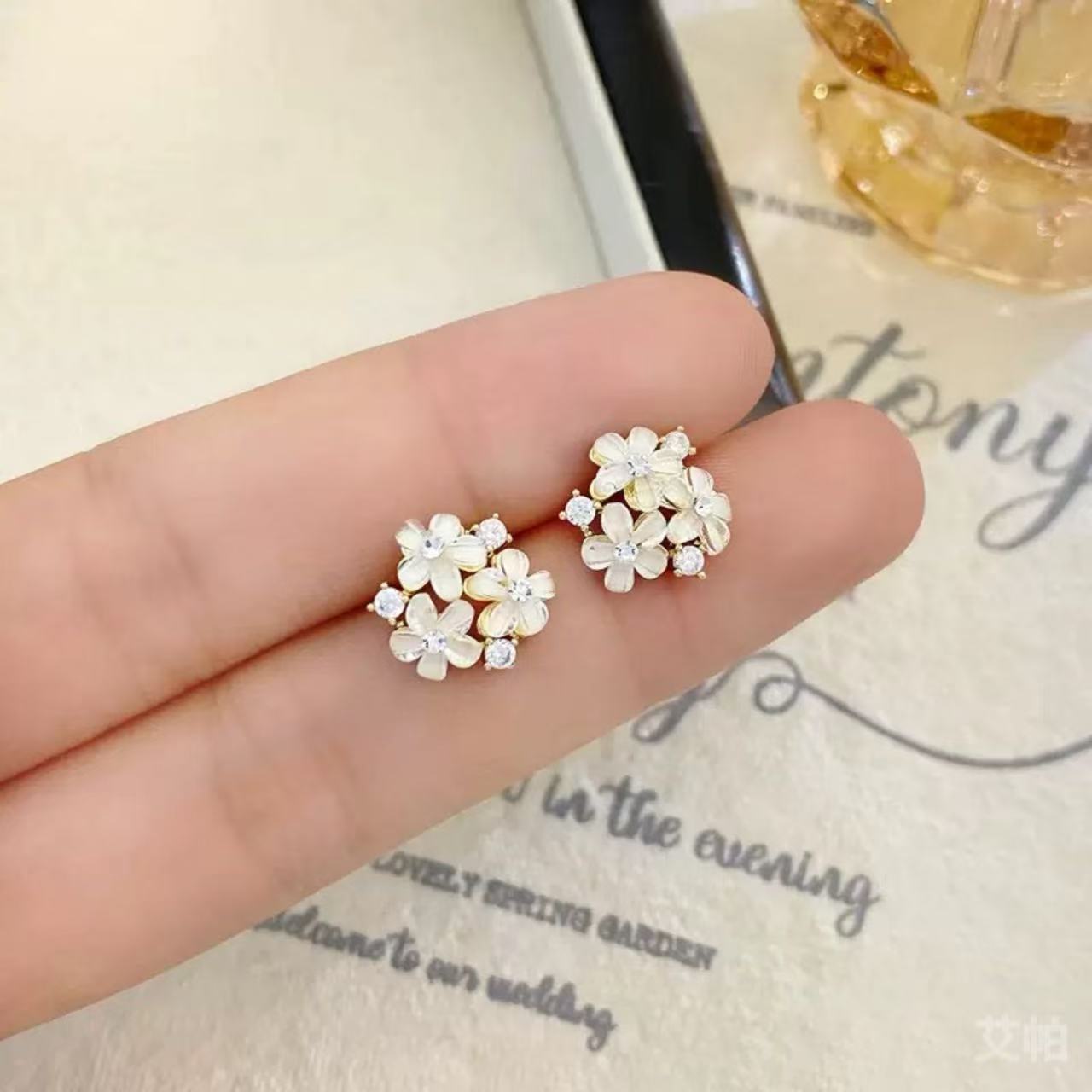 Aretes 669