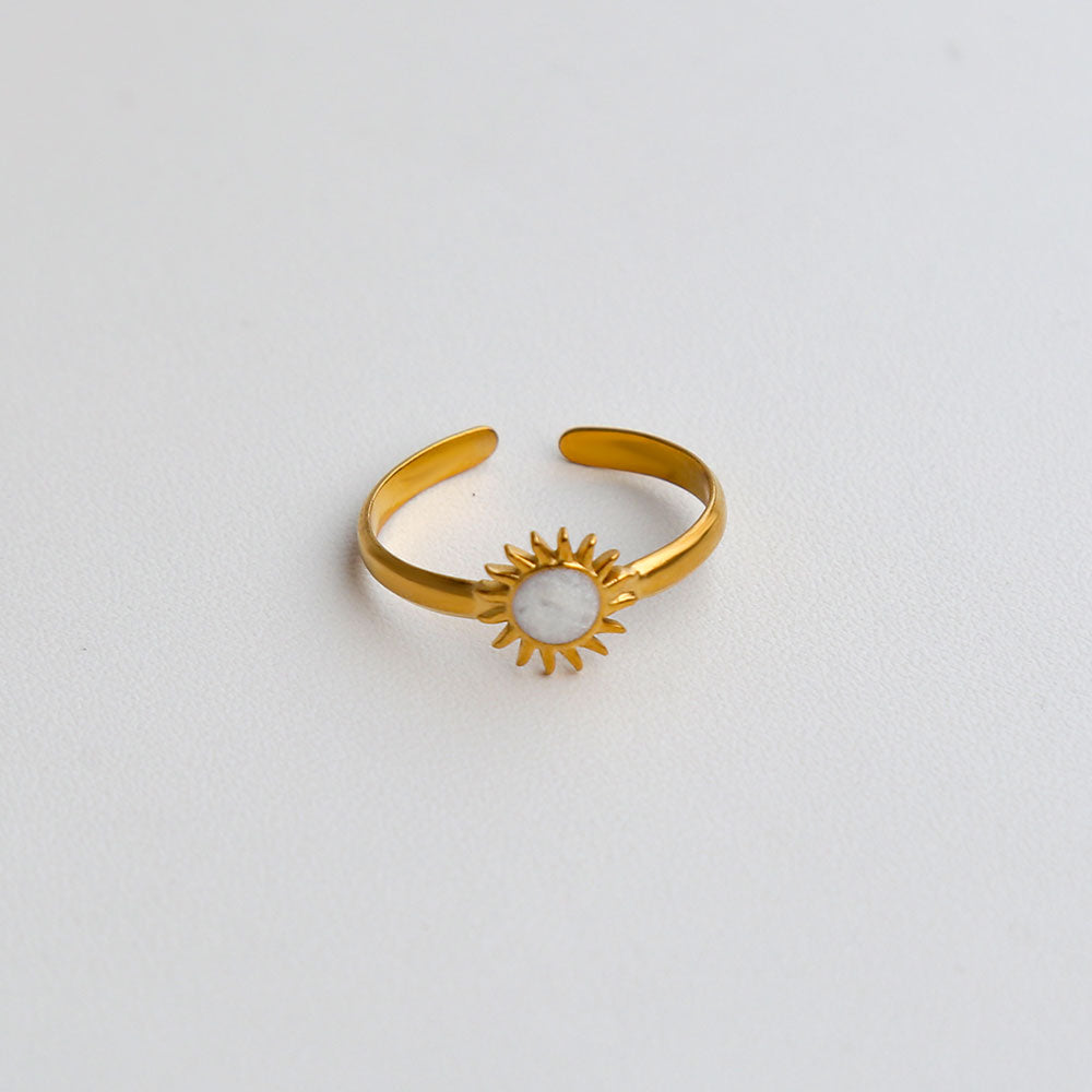 Anillos inox chapado 300