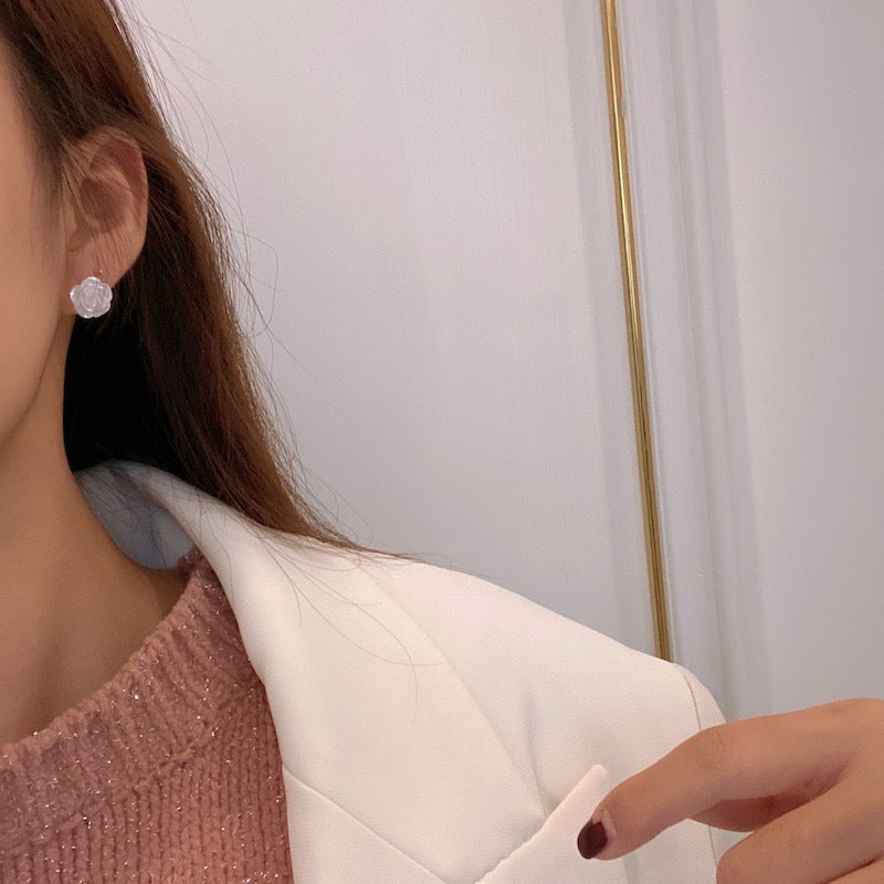 Aretes 448