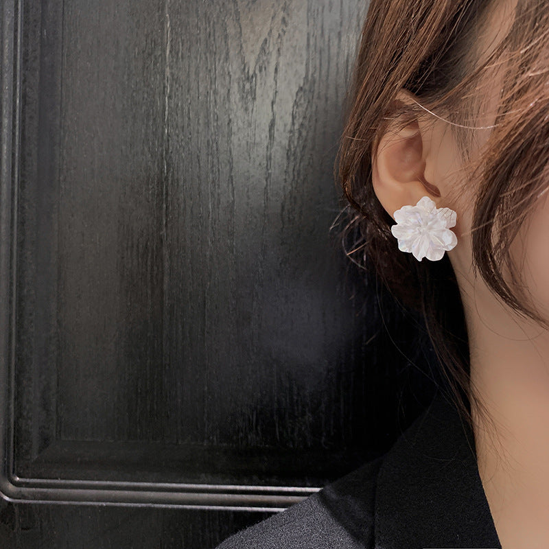 Aretes 105