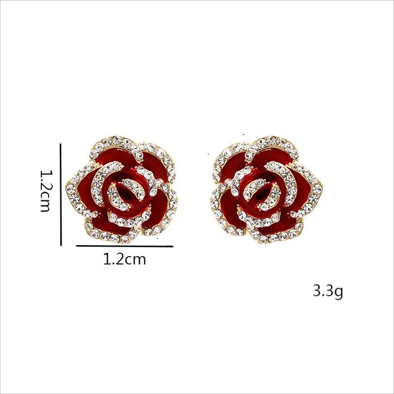 Aretes 1133