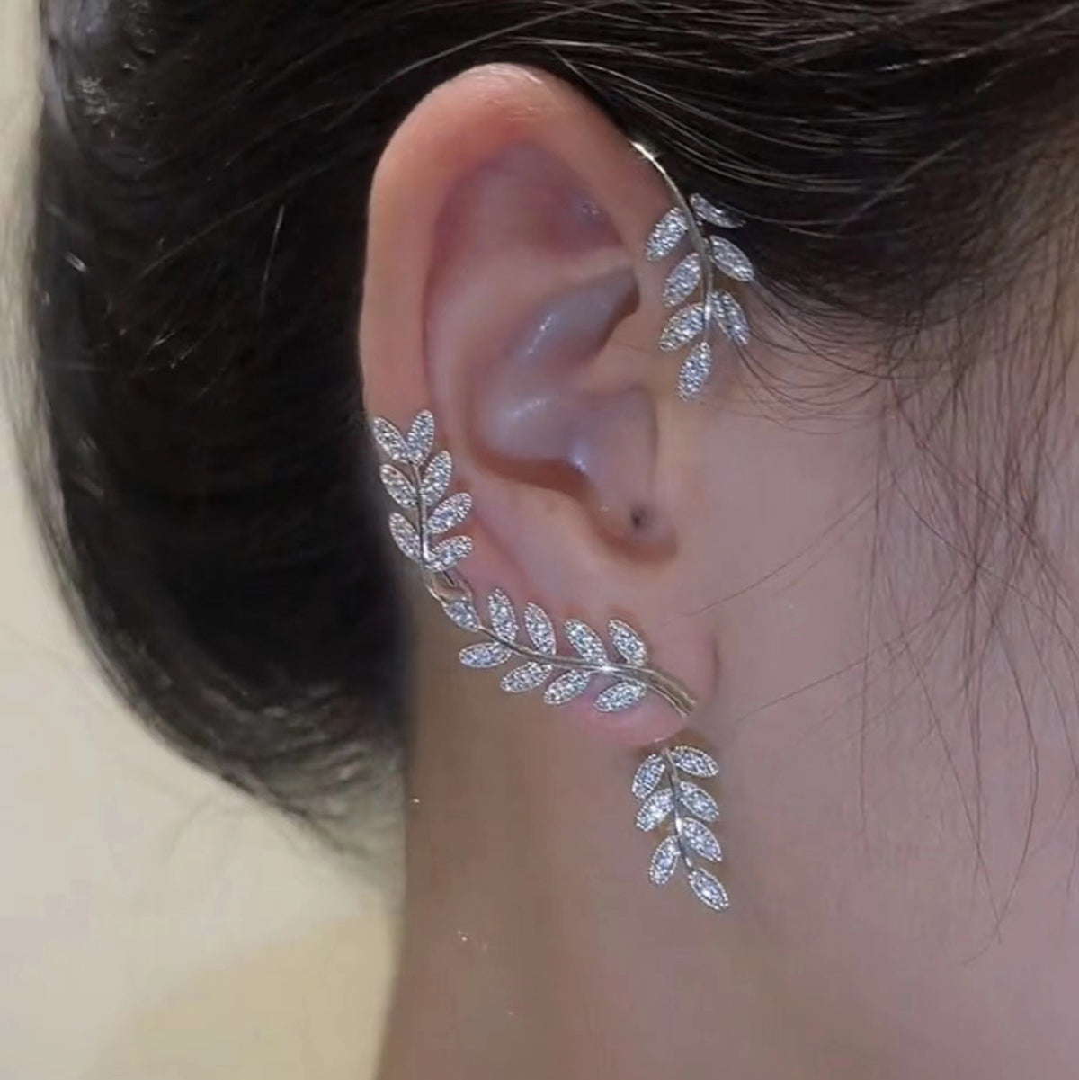 Aretes 1237