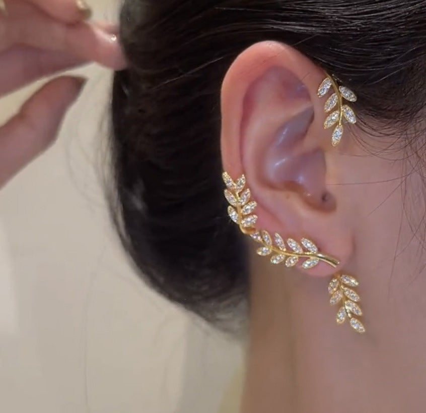 Aretes 1238