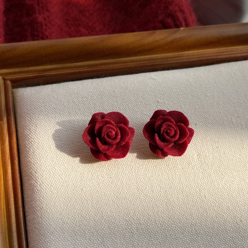 Aretes 1041