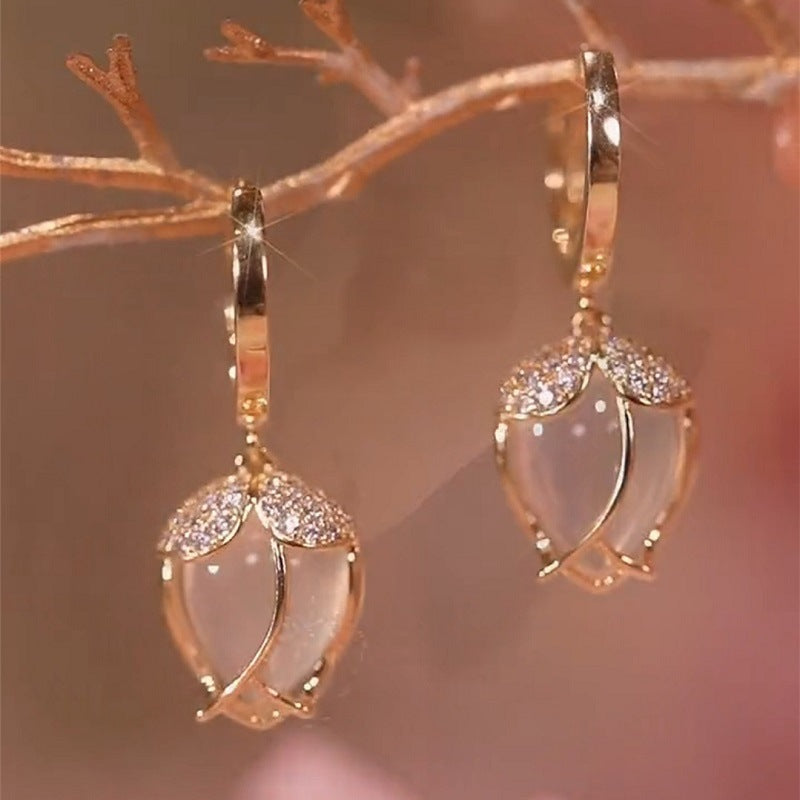 Aretes 776