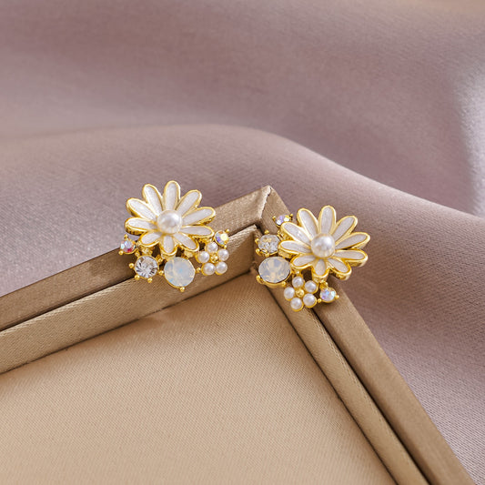 Aretes 841