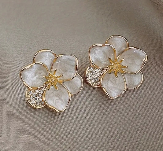 Aretes 135