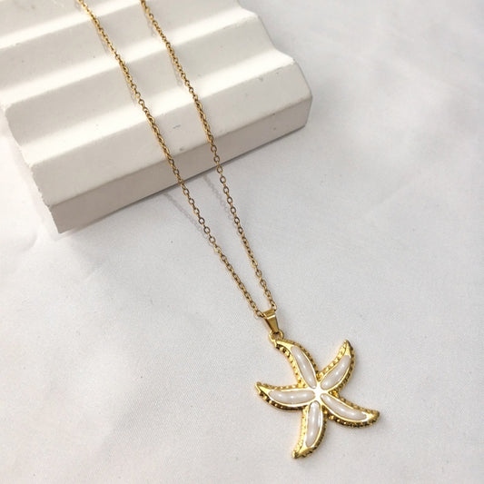 Collar inox chapado 127