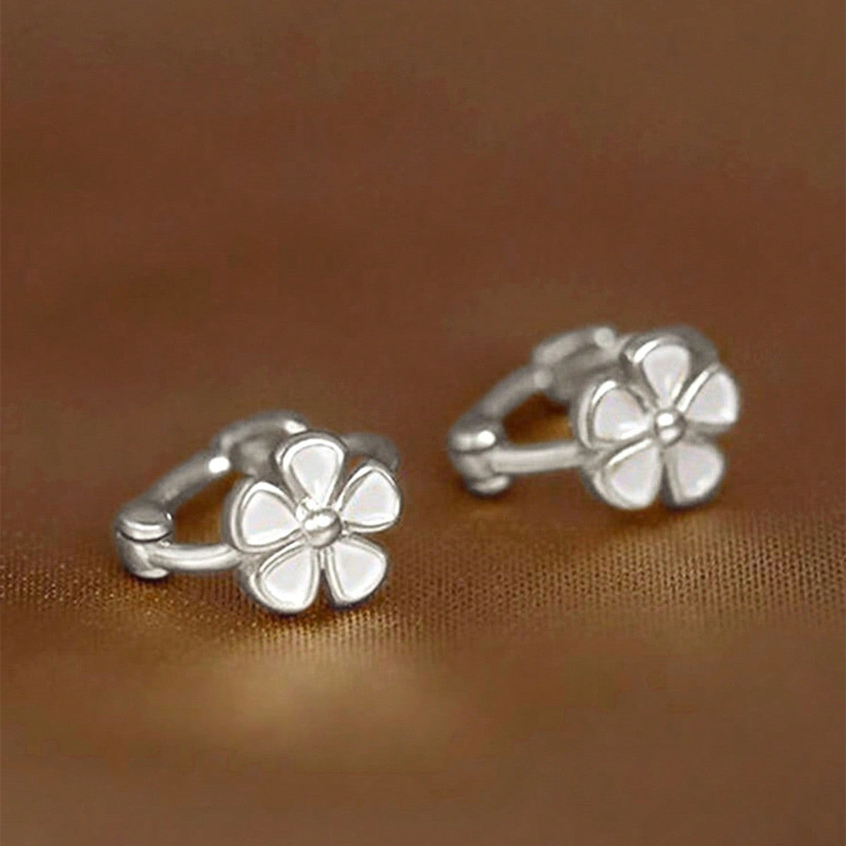 Aretes Inox 674