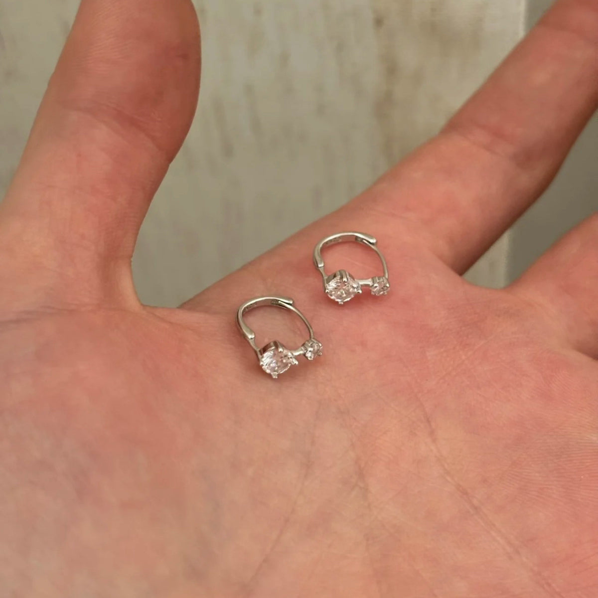 Aretes Inox 735