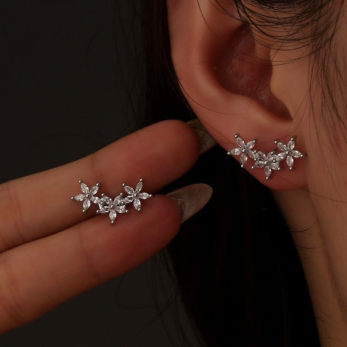 Aretes 1234