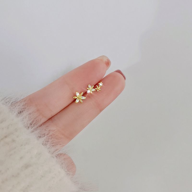Aretes 1231