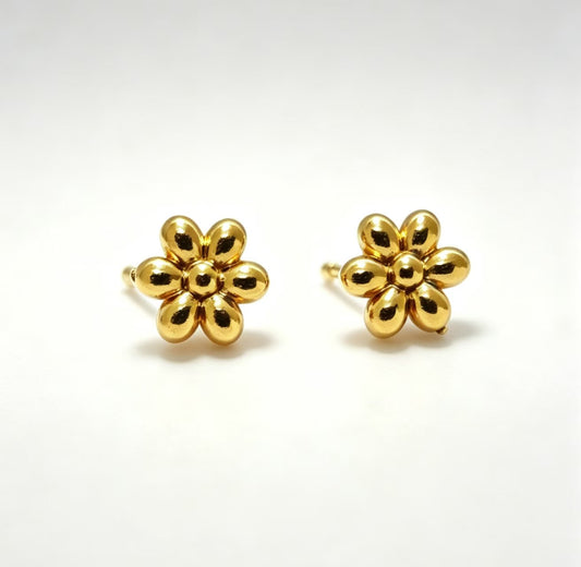 Aretes Inox 654