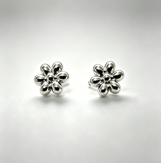 Aretes Inox 653