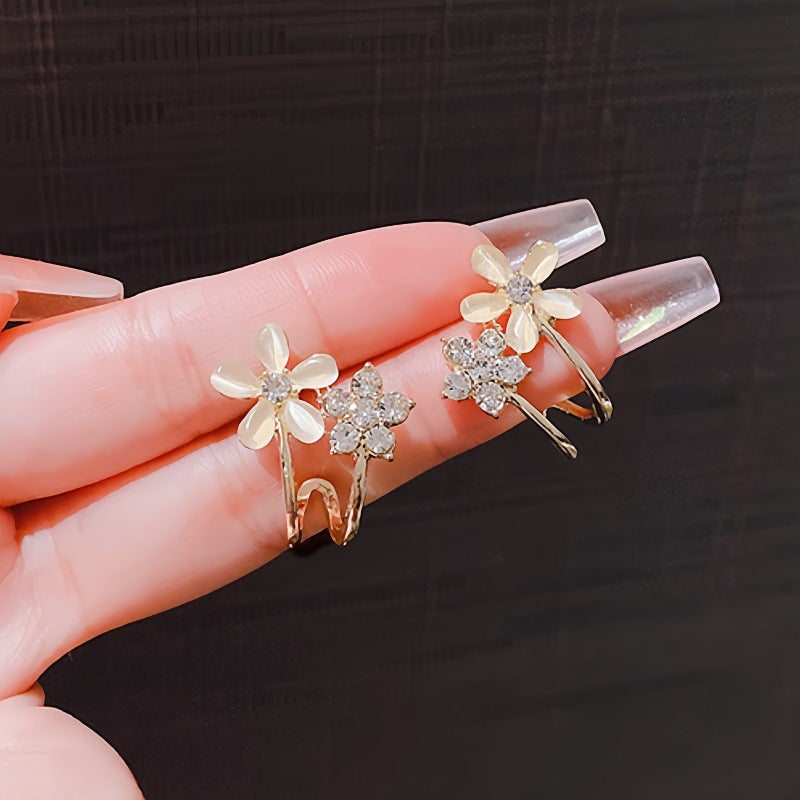 Aretes 1048