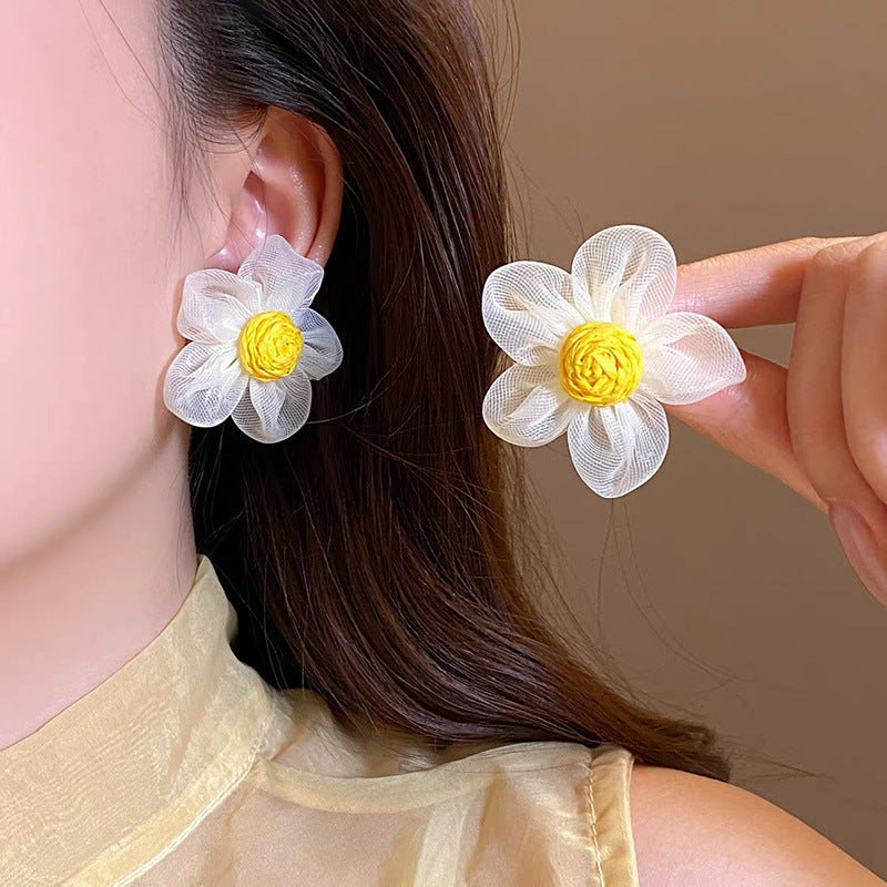 Aretes 1042