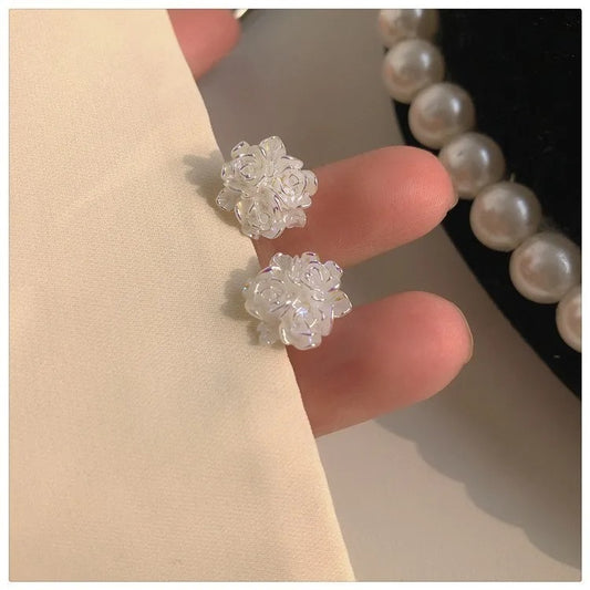 Aretes 1174