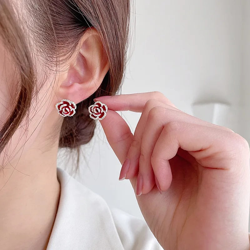 Aretes 1133