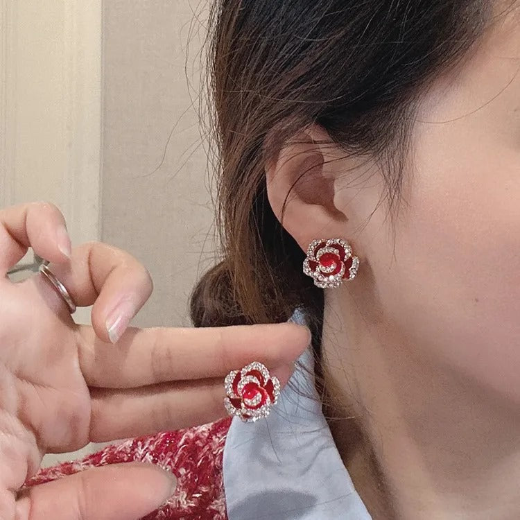 Aretes 1133