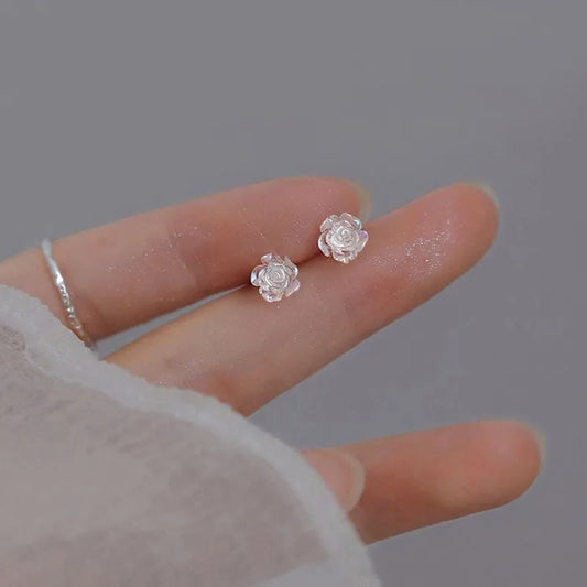 Aretes 1176