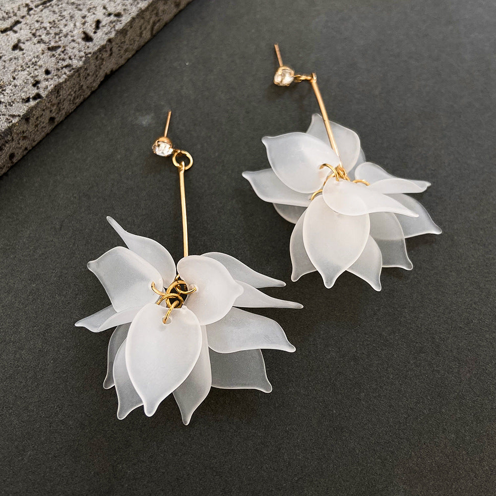 Aretes 248