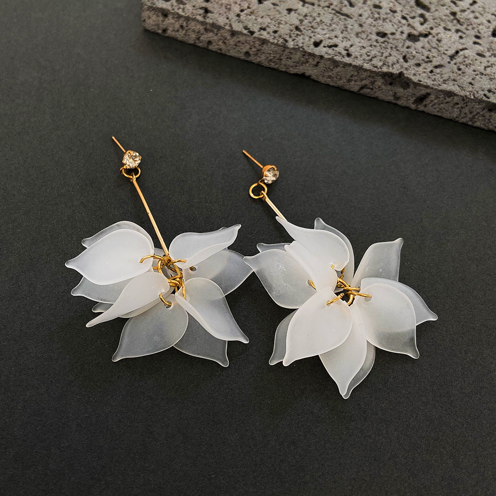 Aretes 248
