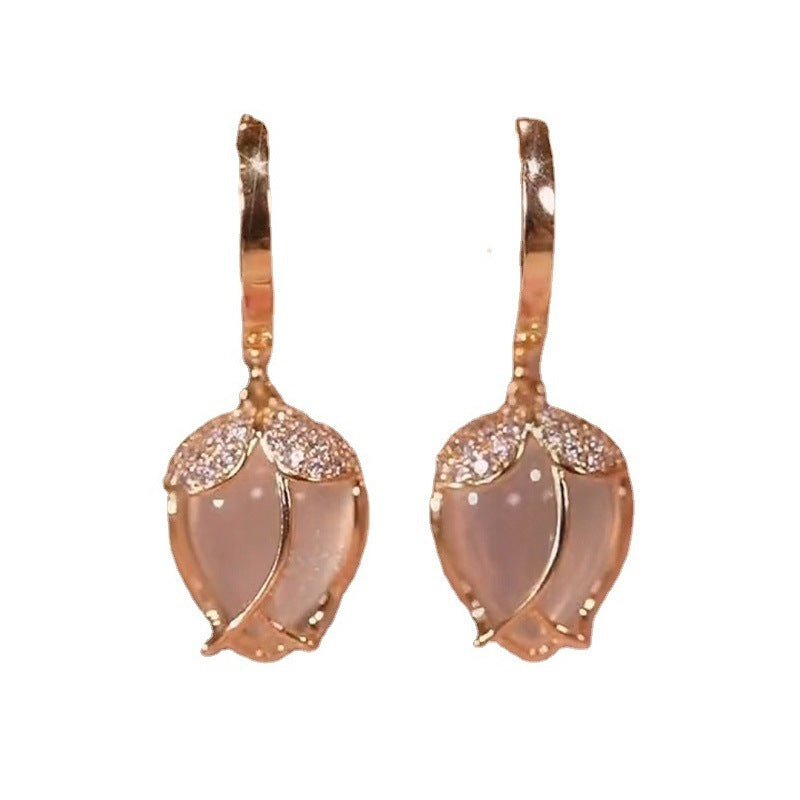 Aretes 573