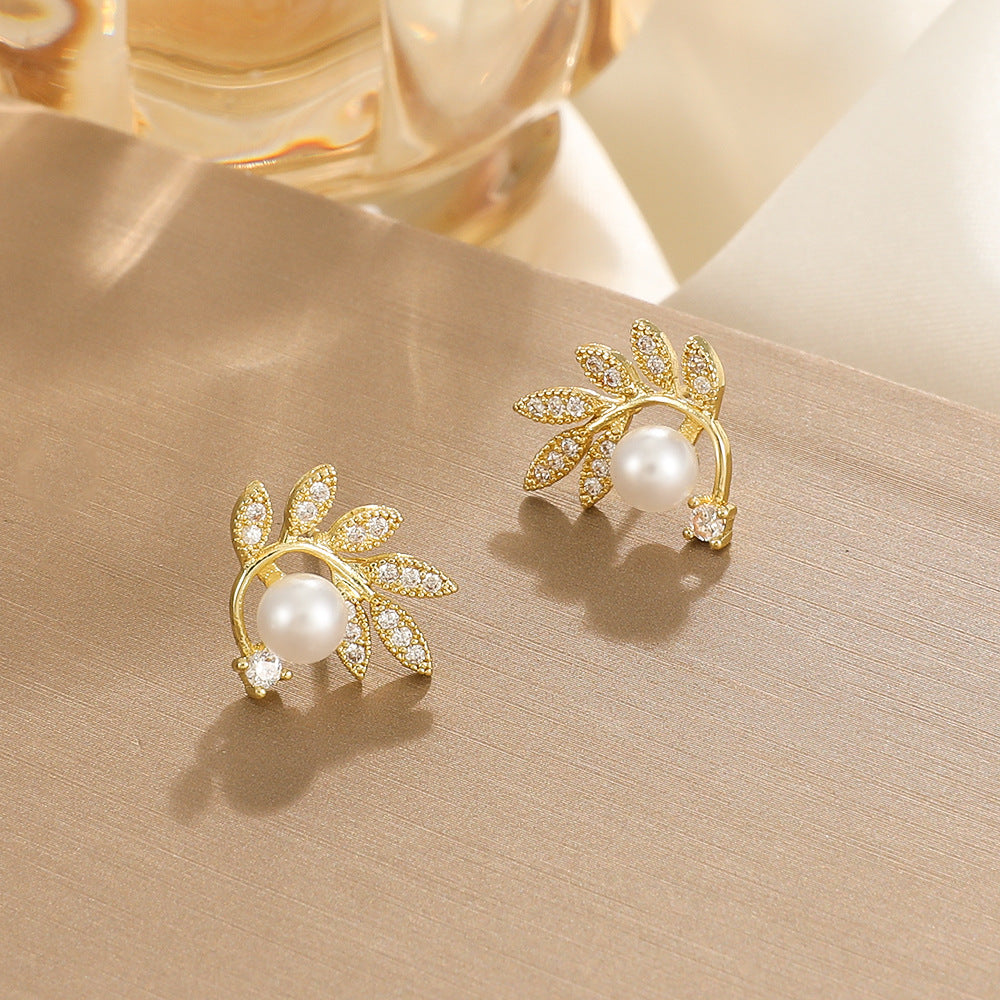 Chapado 18k 78