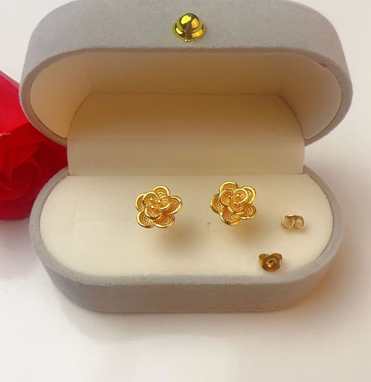 Aretes 1155