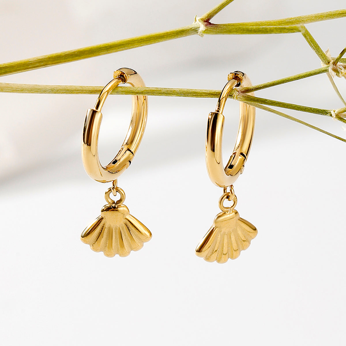 Chapado 18k 53