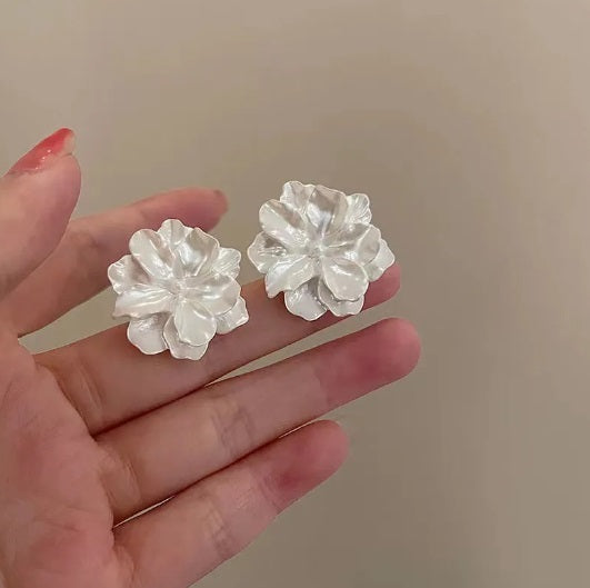 Aretes 118